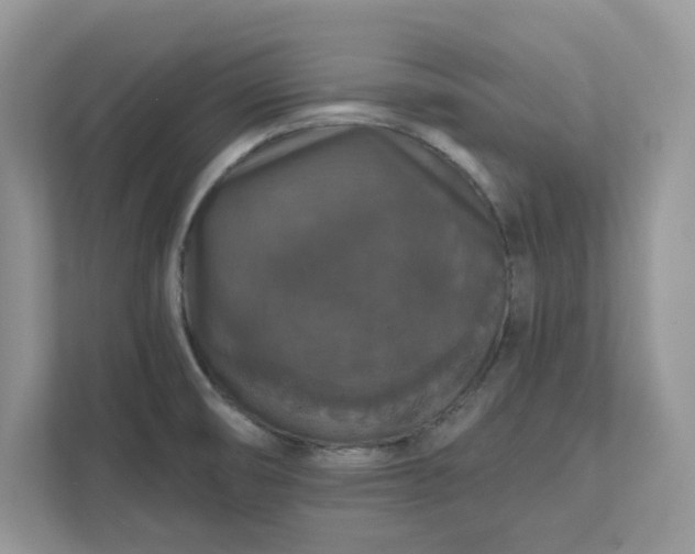 X0000111581474200907301354