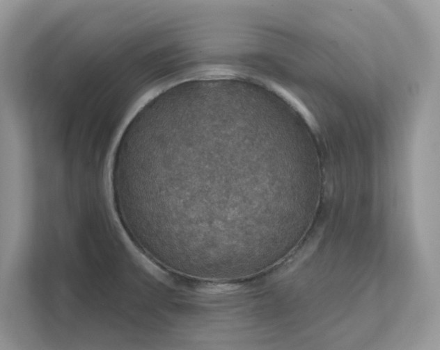 X0000111581475200907301354