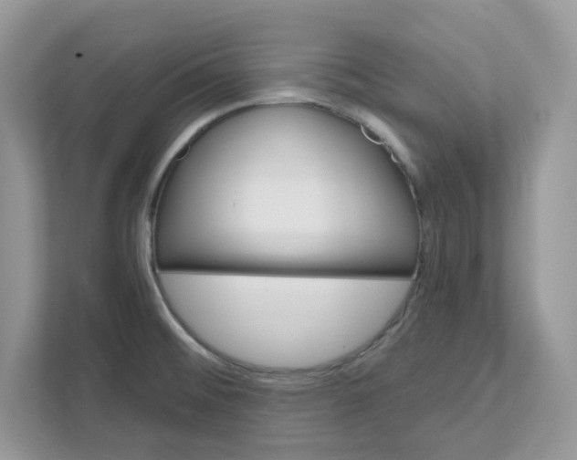 X0000111581476200907301354