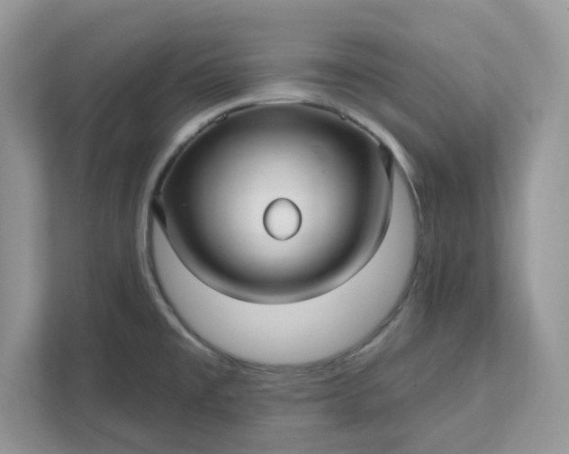 X0000111581477200907301354