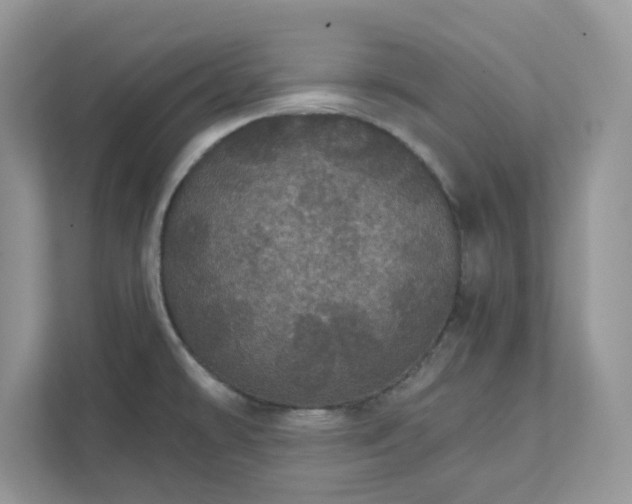 X0000111581478200907301354