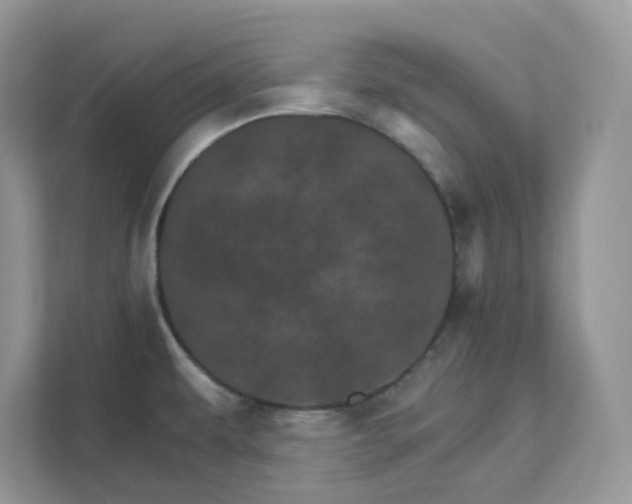 X0000111581479200907301354