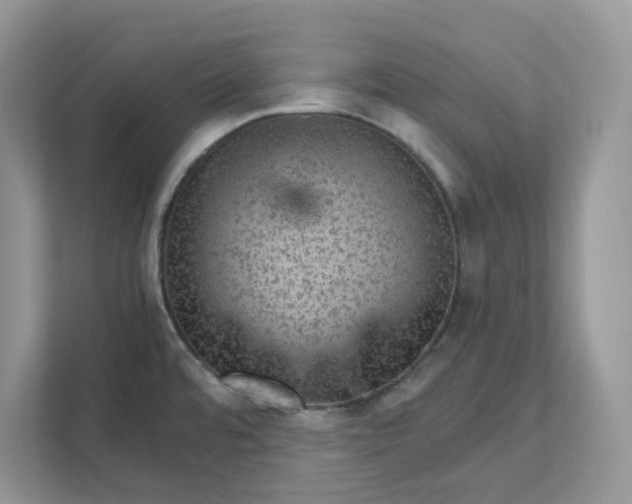 X0000111581480200907301354