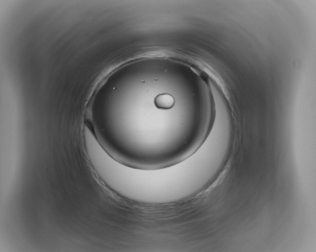 X0000111581481200907301354