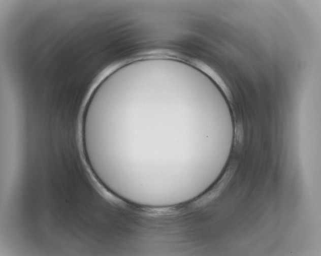 X0000111581482200907301354