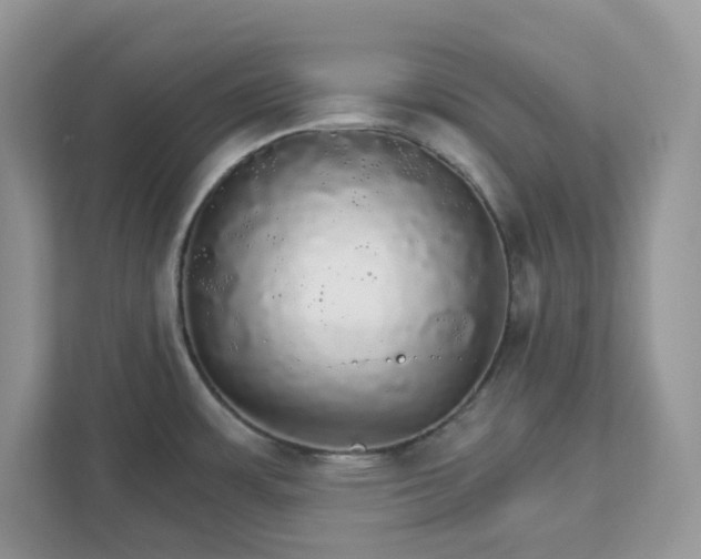 X0000111581483200907301354