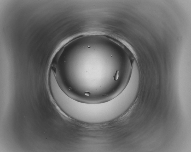 X0000111581485200907301354