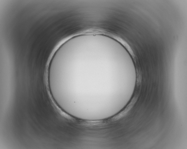 X0000111581486200907301354