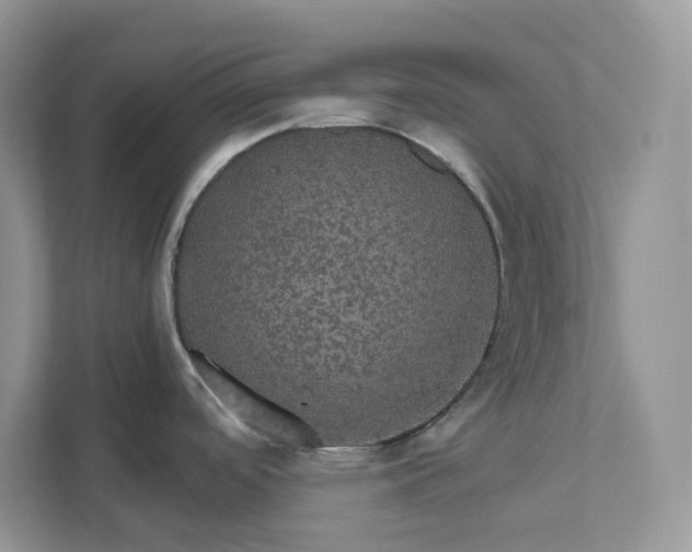 X0000111581488200907301354