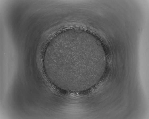 X0000111581489200907301353