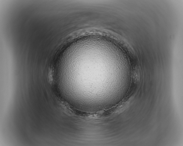 X0000111581490200907301353