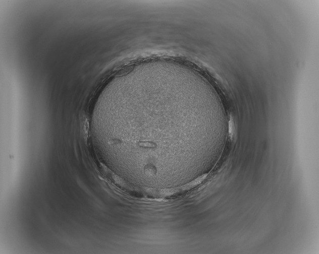 X0000111581492200907301353