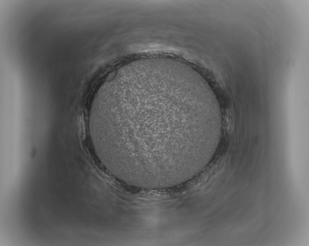 X0000111581493200907301353