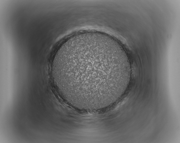 X0000111581494200907301353