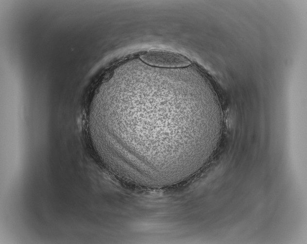 X0000111581495200907301354