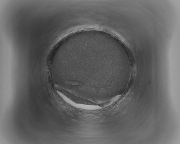 X0000111581496200907301354