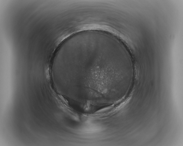 X0000111581497200907301354