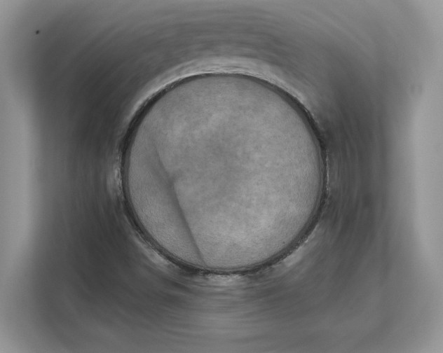 X0000111581498200907301354