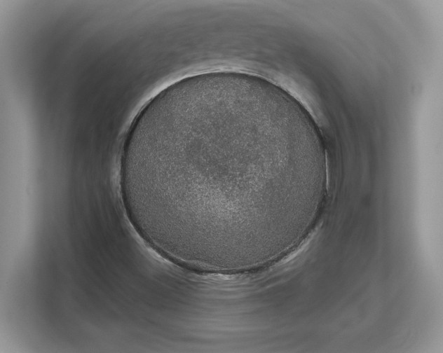 X0000111581500200907301354