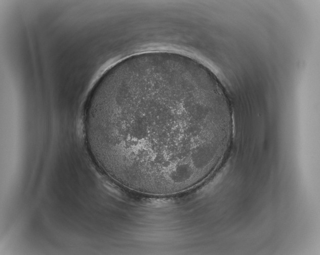 X0000111581501200907301354