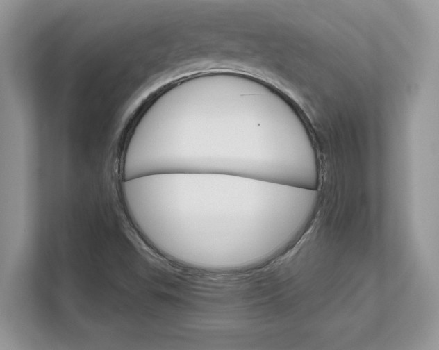 X0000111581503200907301354