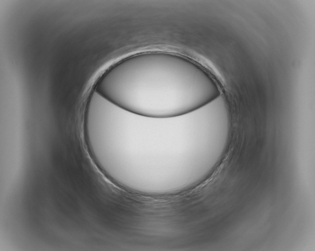 X0000111581504200907301354