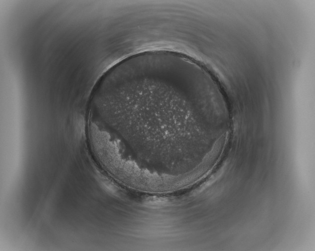 X0000111581505200907301354