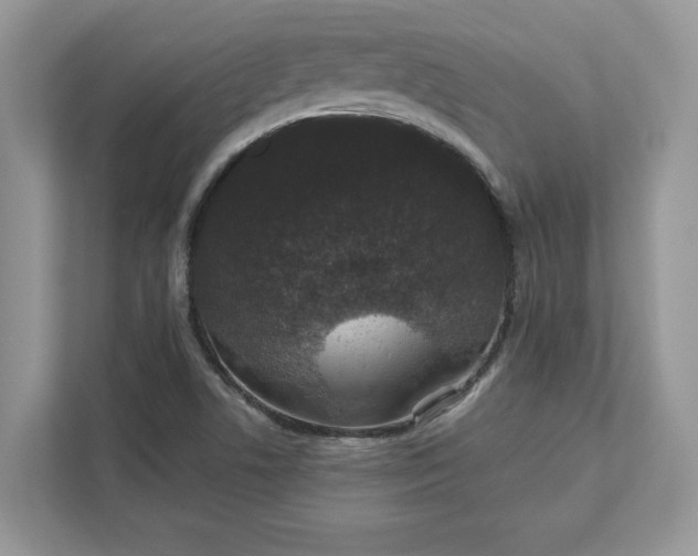 X0000111581506200907301354