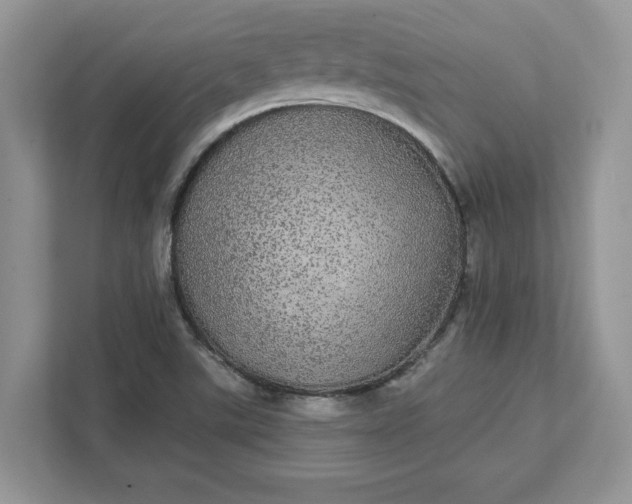 X0000111581507200907301354