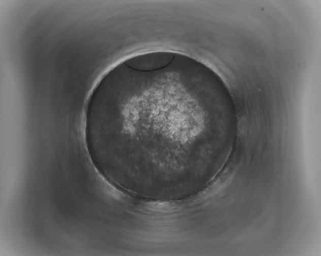 X0000111581508200907301354
