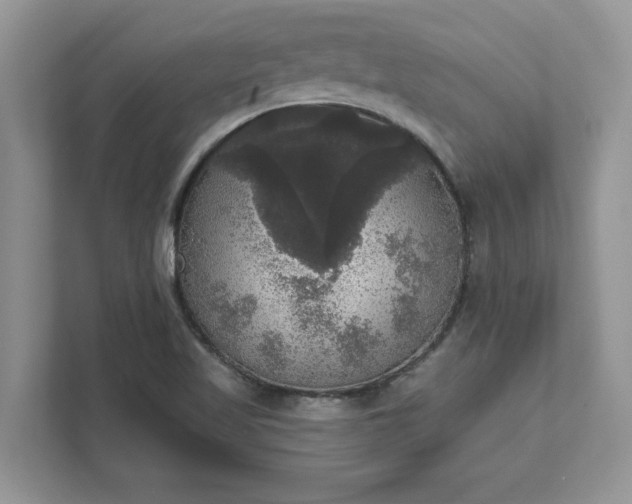 X0000111581509200907301354