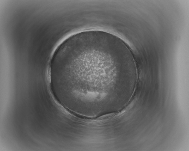 X0000111581510200907301354