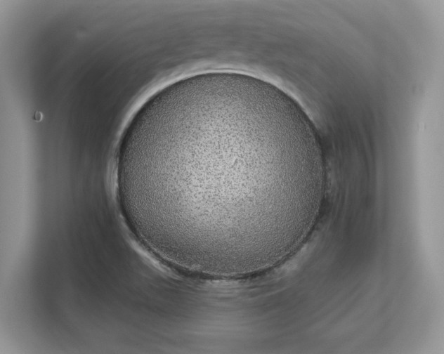 X0000111581511200907301354