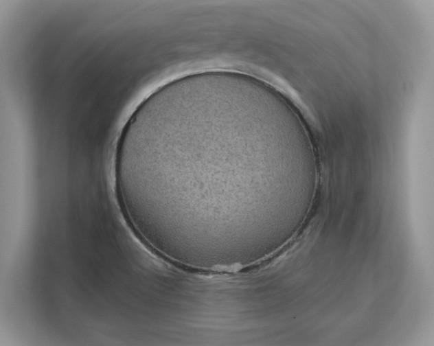 X0000111581512200907301354