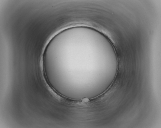 X0000111581516200907301354