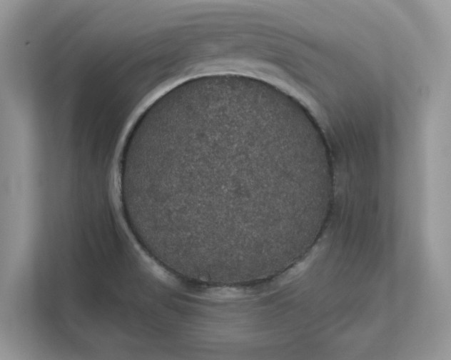 X0000111581517200907301354