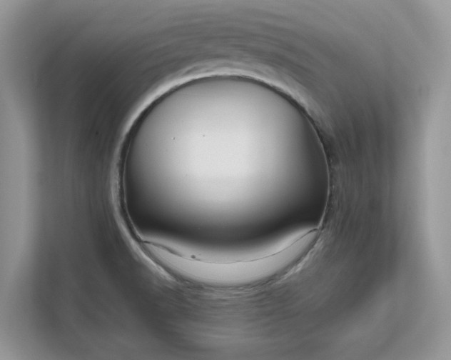 X0000111581518200907301354