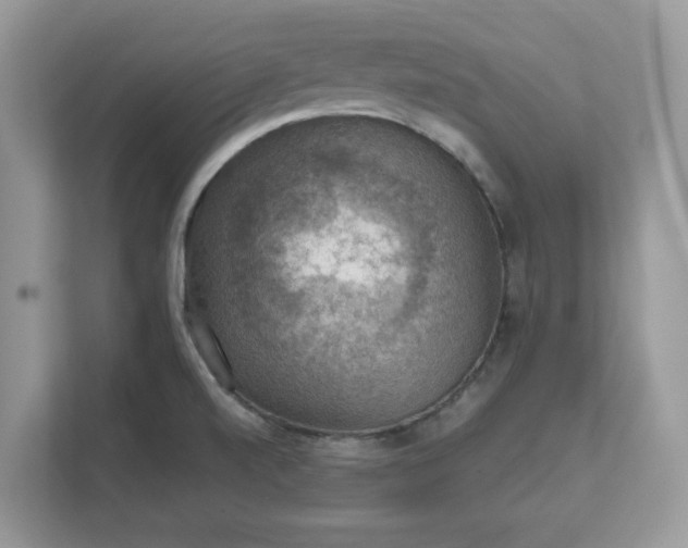 X0000111581520200907301354