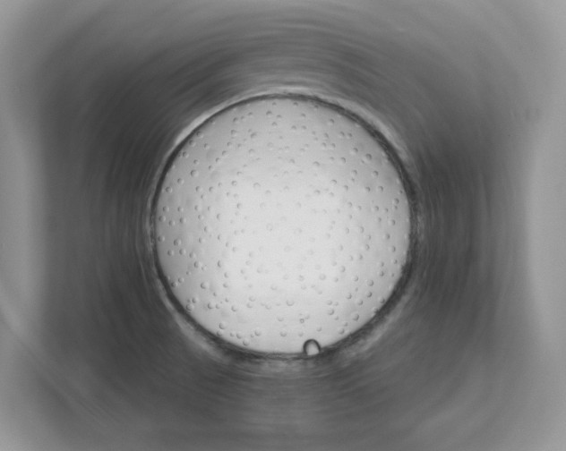 X0000111581521200907301354