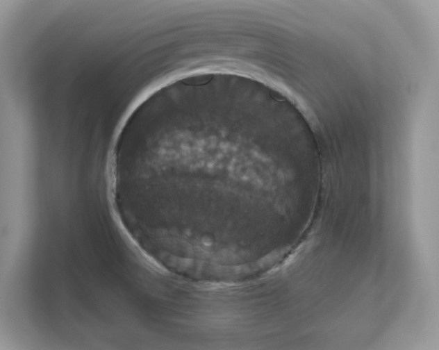 X0000111581522200907301354