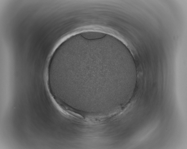 X0000111581523200907301354