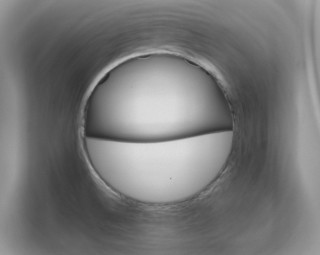 X0000111581524200907301354