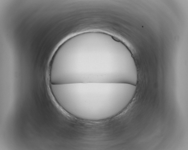 X0000111581526200907301354