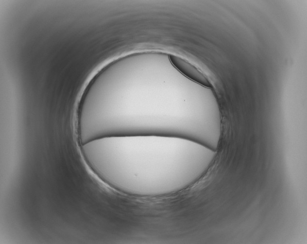 X0000111581527200907301354