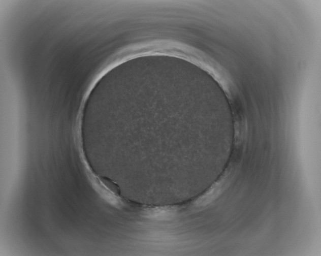X0000111581530200907301354
