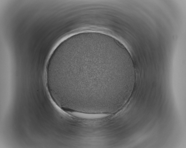 X0000111581531200907301354