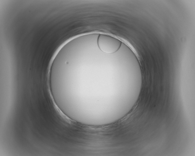 X0000111581532200907301354