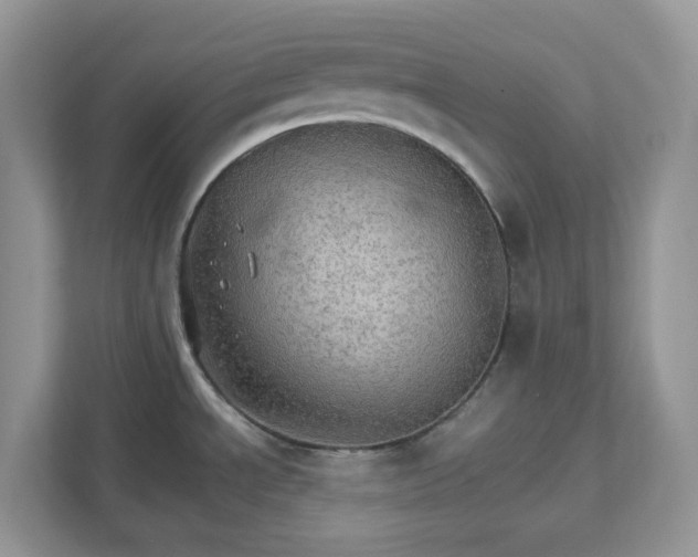 X0000111581534200907301354