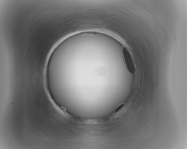 X0000111581536200907301354