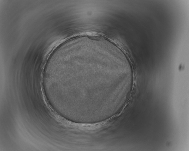 X0000111580001200908061336